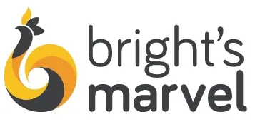 Bright Marvel Paints Logo